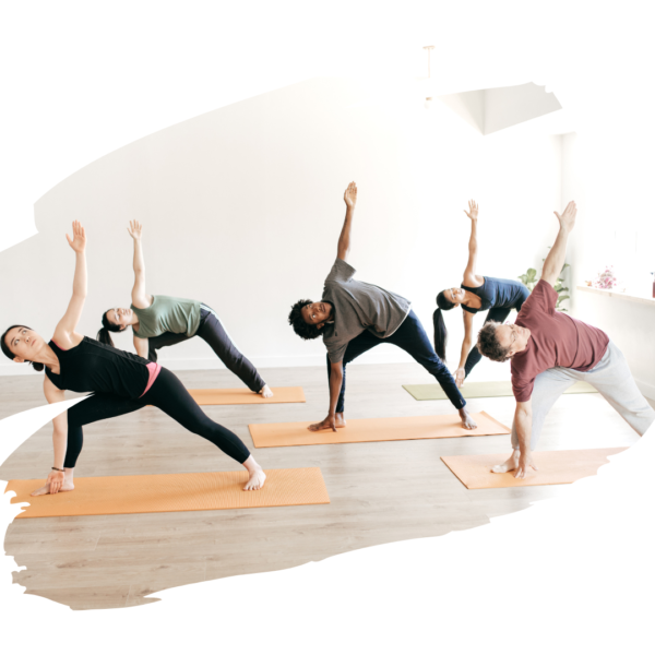 Yoga Knowledge